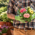 Zahradní gerbera - jak zasadit a pěstovat květinu v zemi